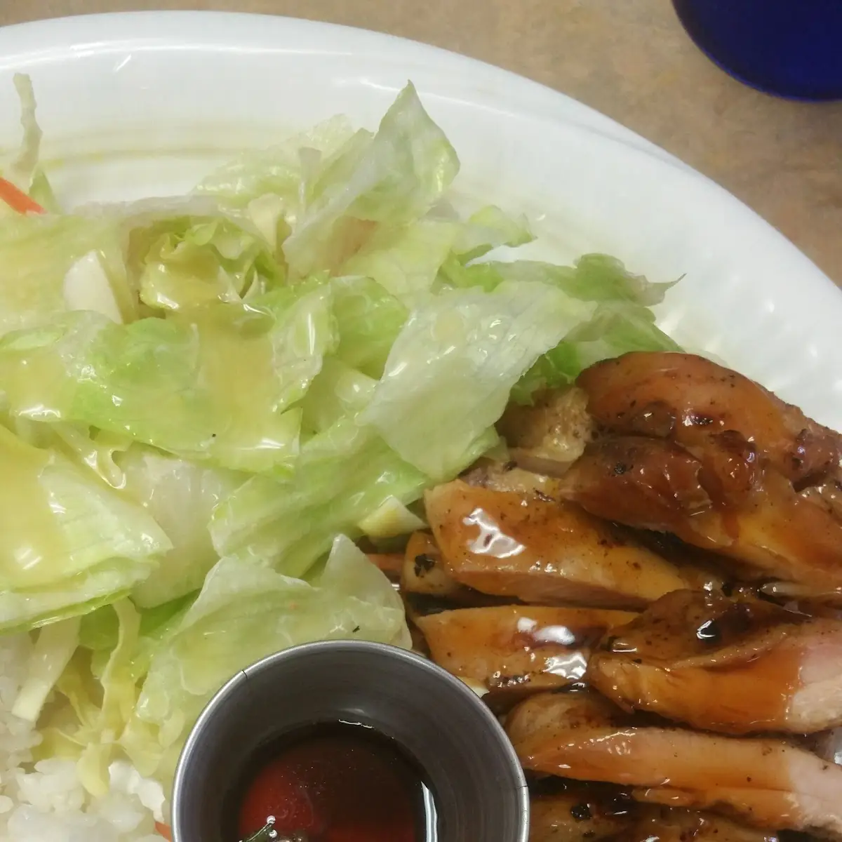 Teriyaki Chicken & Gyoza