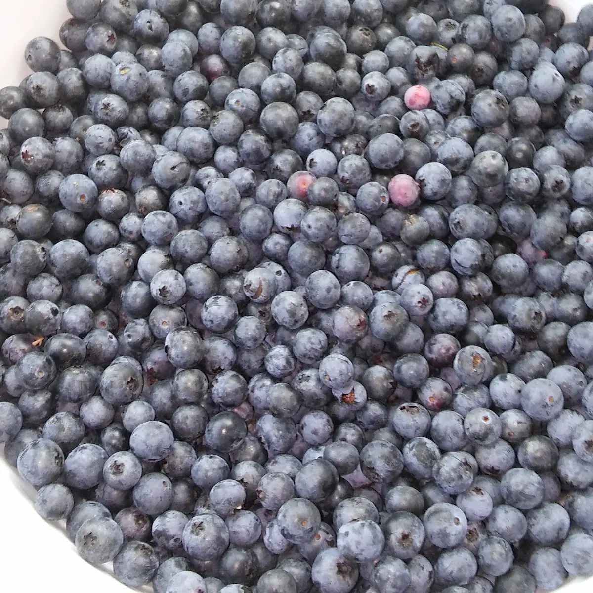 Blueberry Waffle