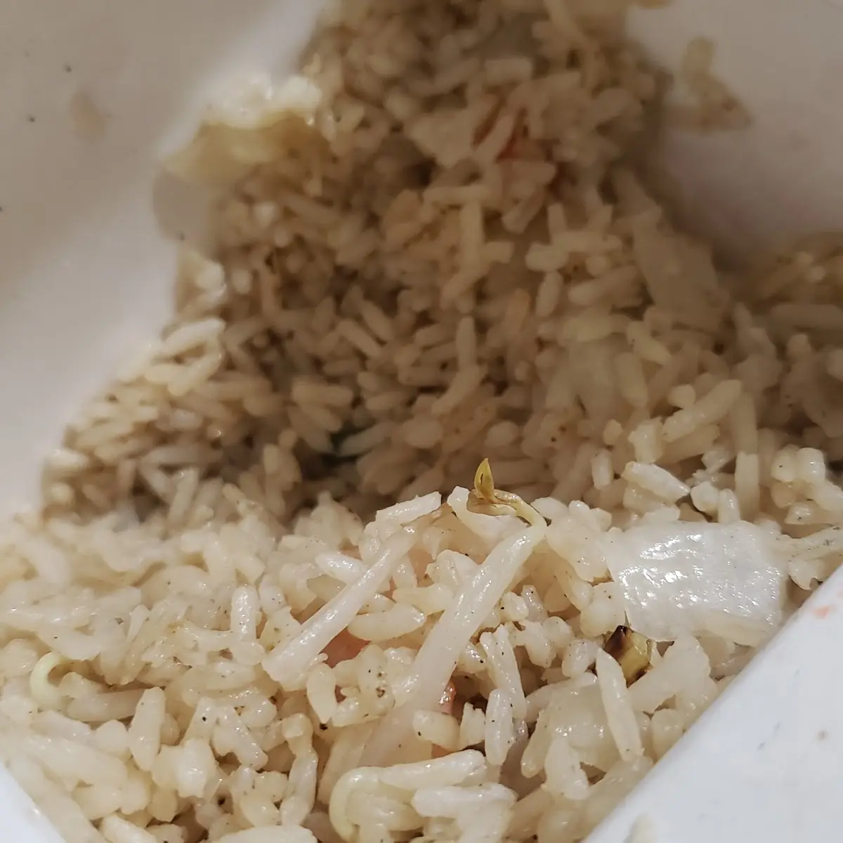 House Special Shrimp Fried Rice