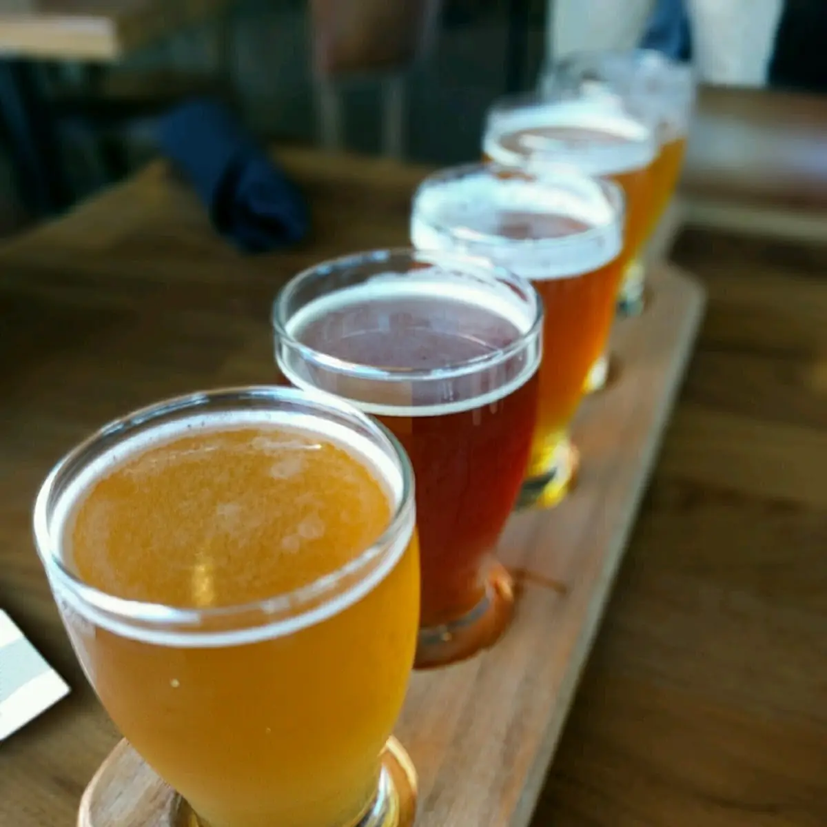 Mimosa Flight