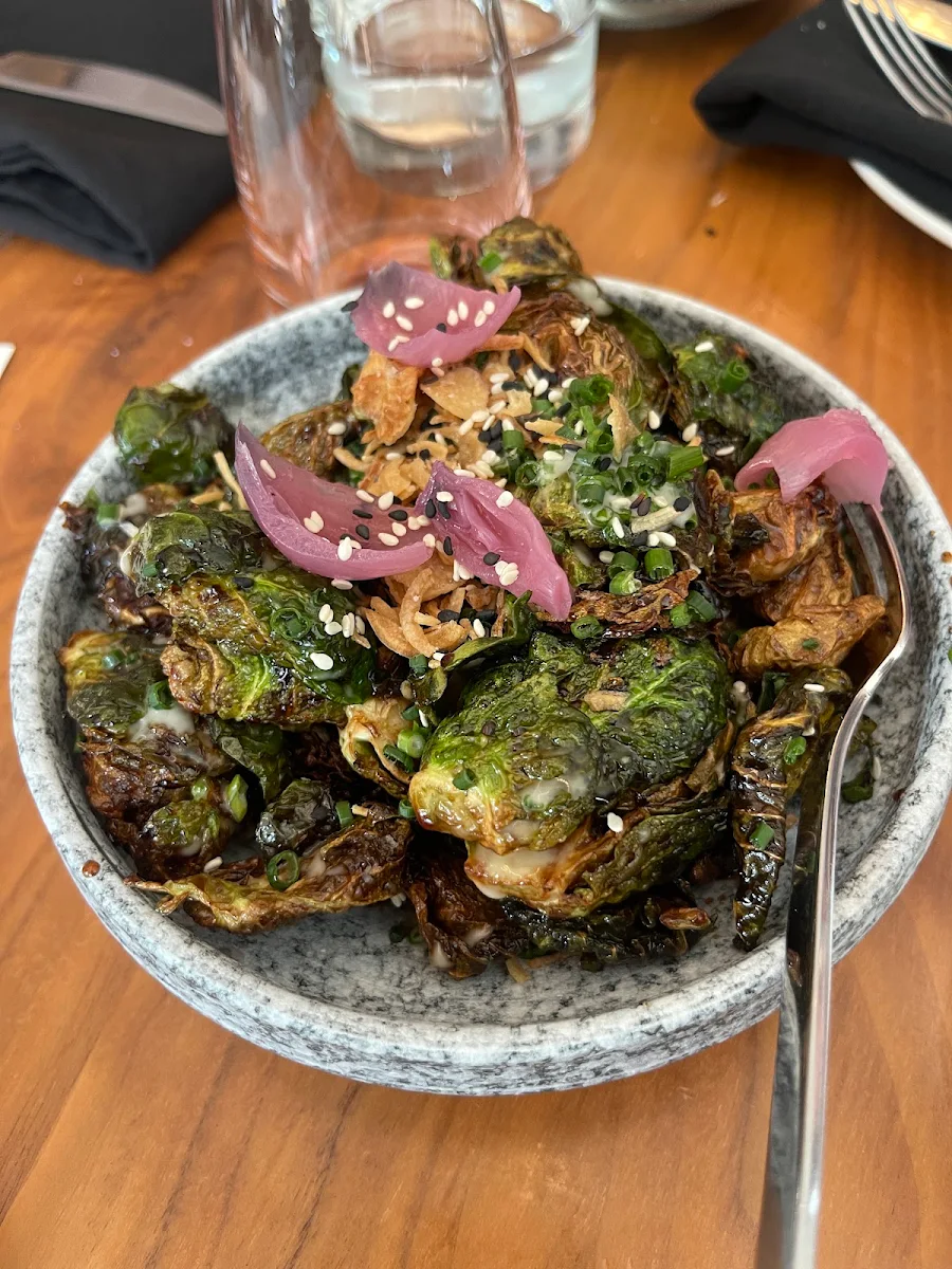 Maple Miso Brussels, radius® on Brant
