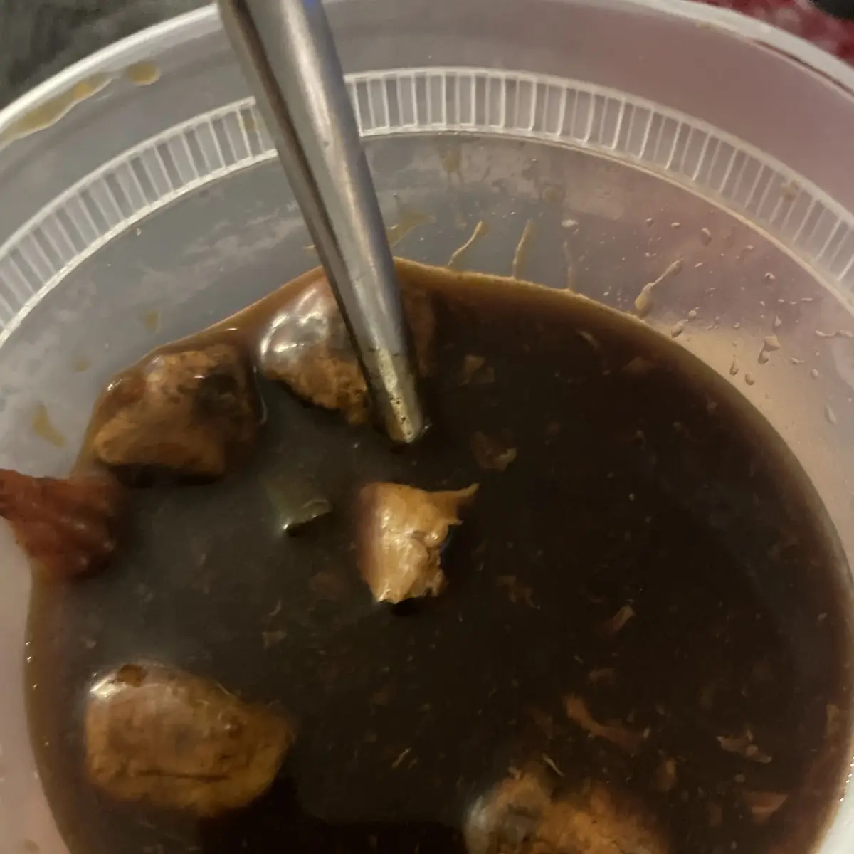 Onion Soup