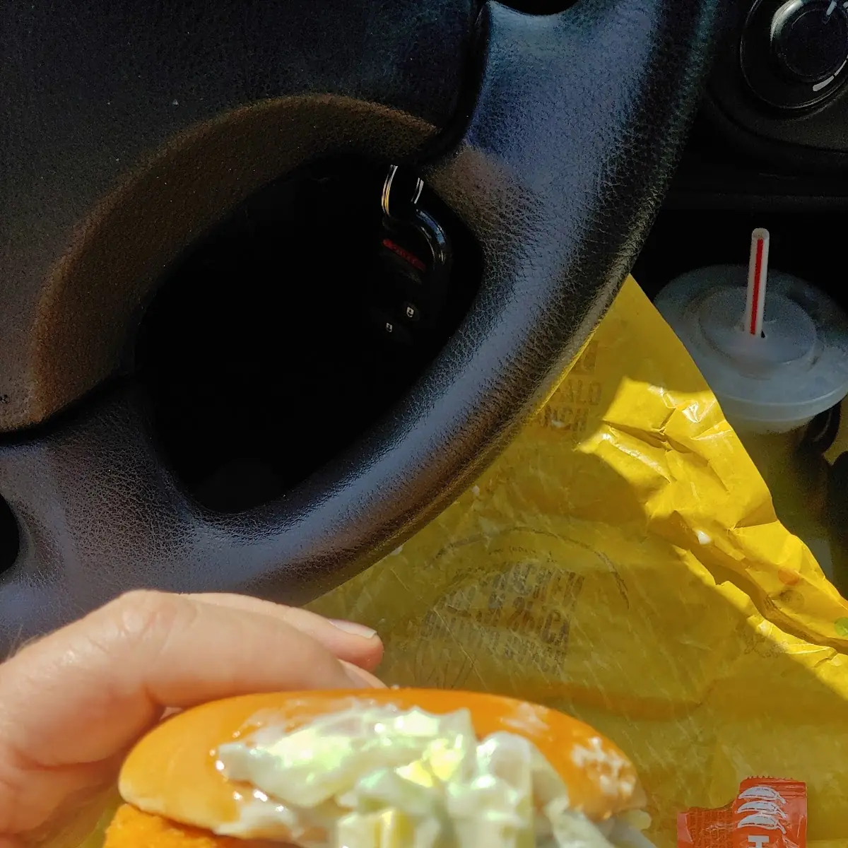 Sloppy Fish Sandwich