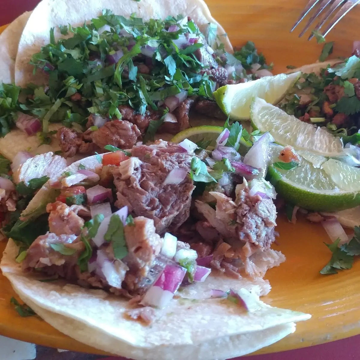 Carne Asada Burrito