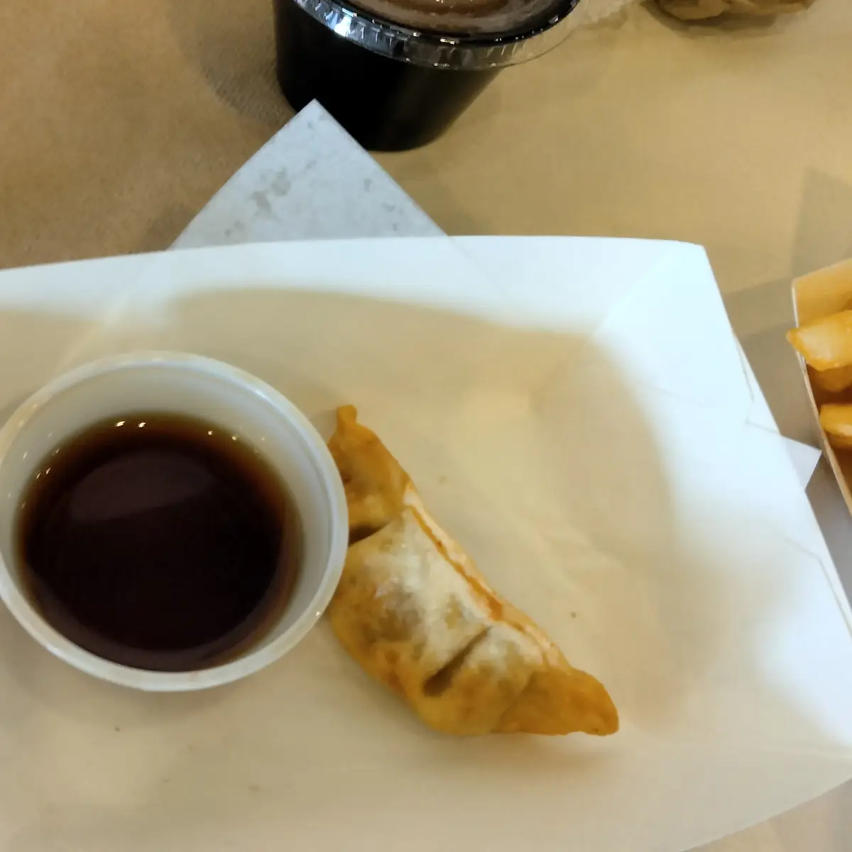 Fried Dumplings