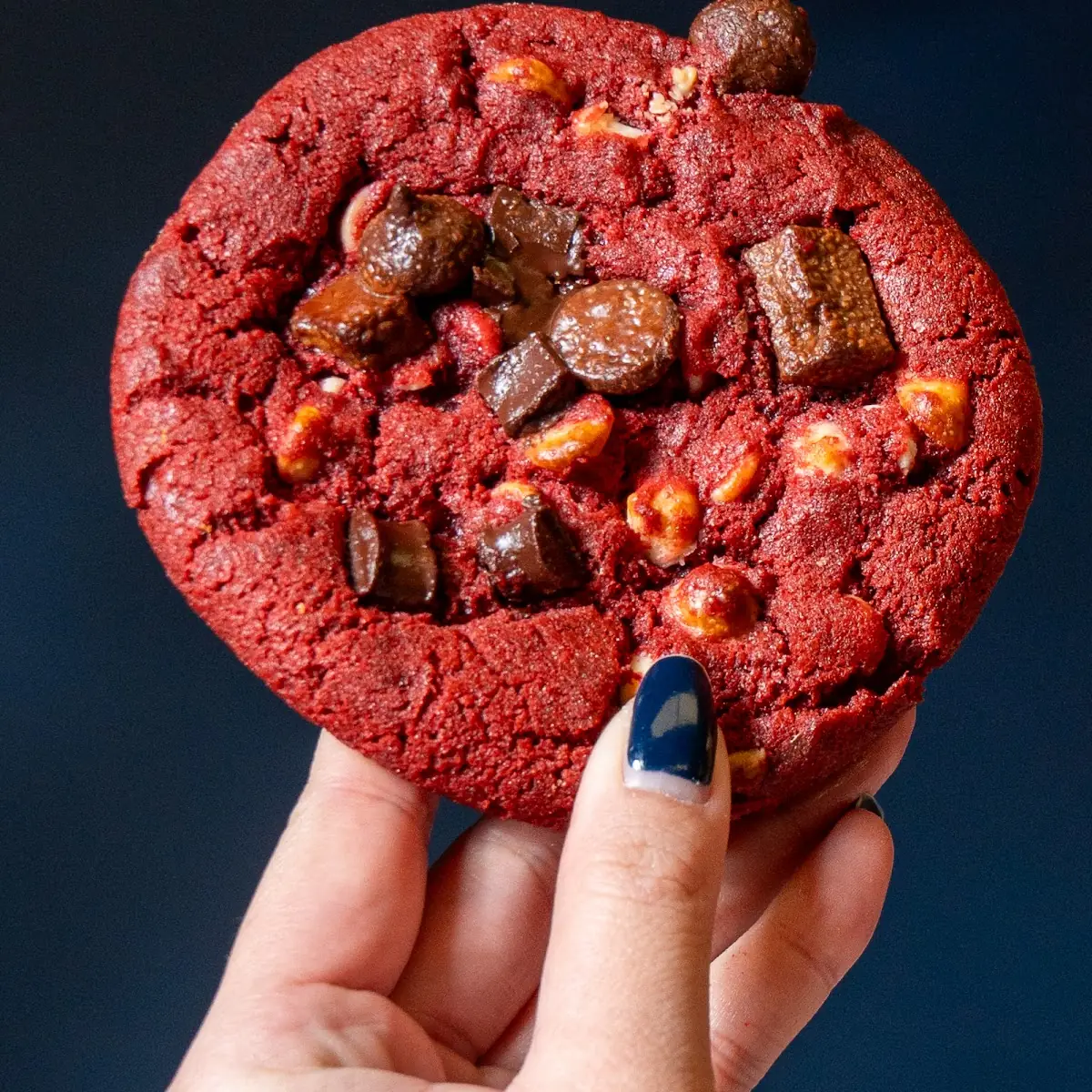 Double Chocolate Chunk Cookie