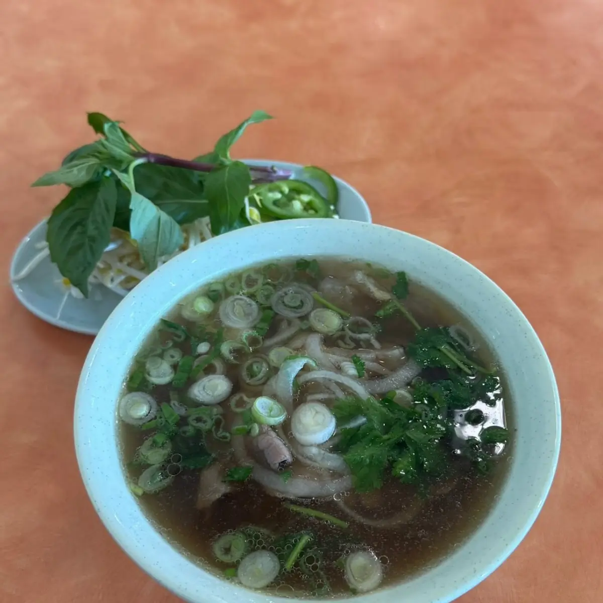 Steak and Tendon Noodle Soup