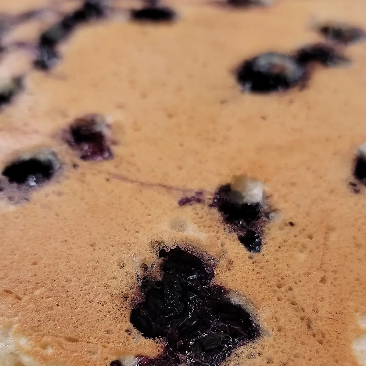 Blueberry Pancakes