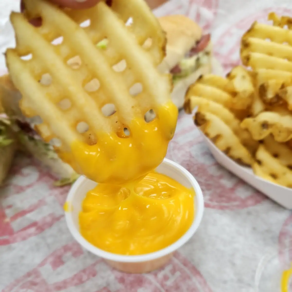 Waffle Fries with Cheese