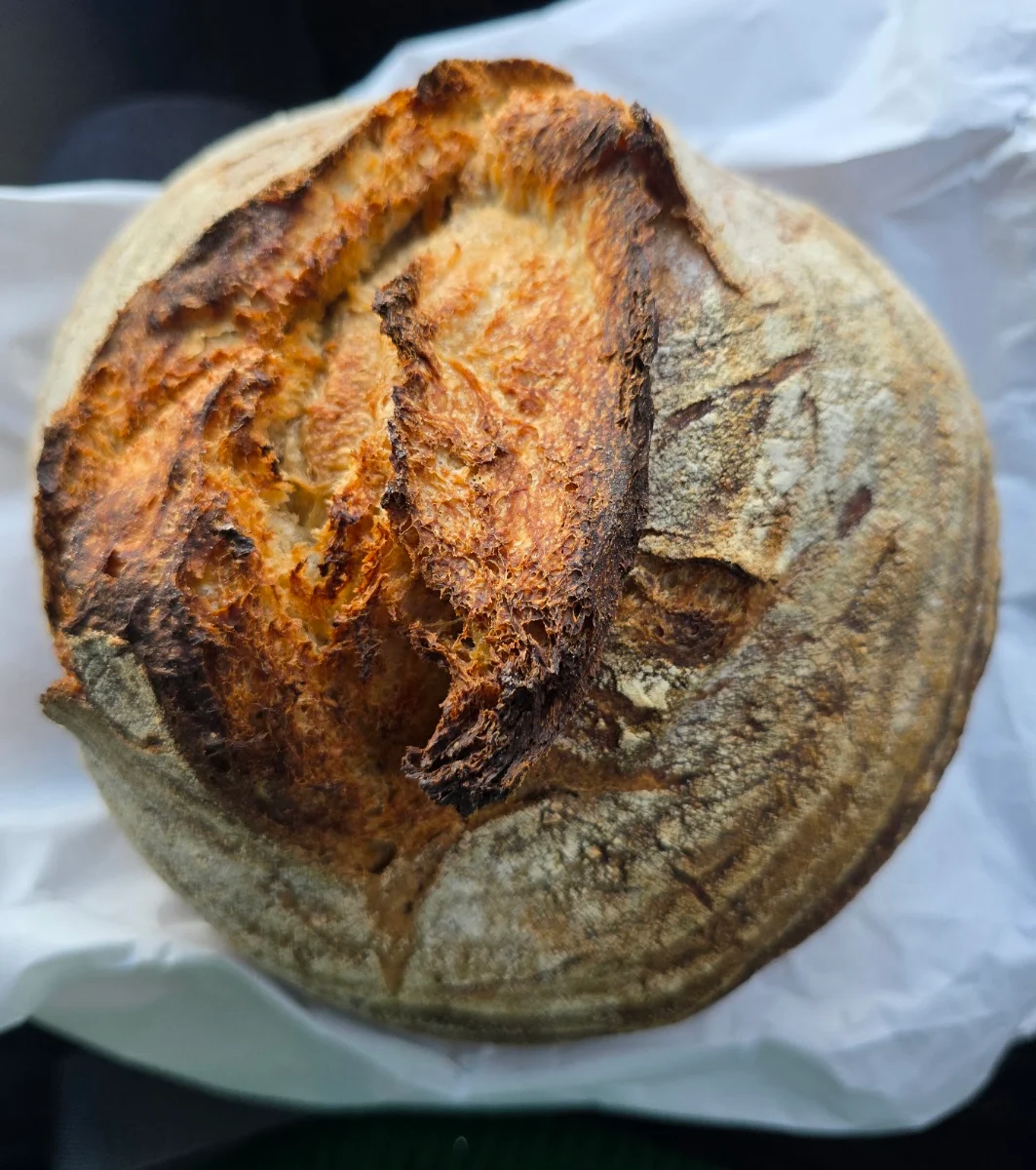 Sourdough