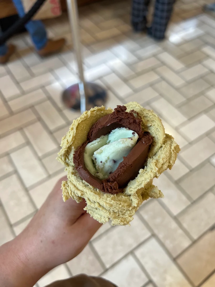 Chocolate and Mint Chocolate Chip