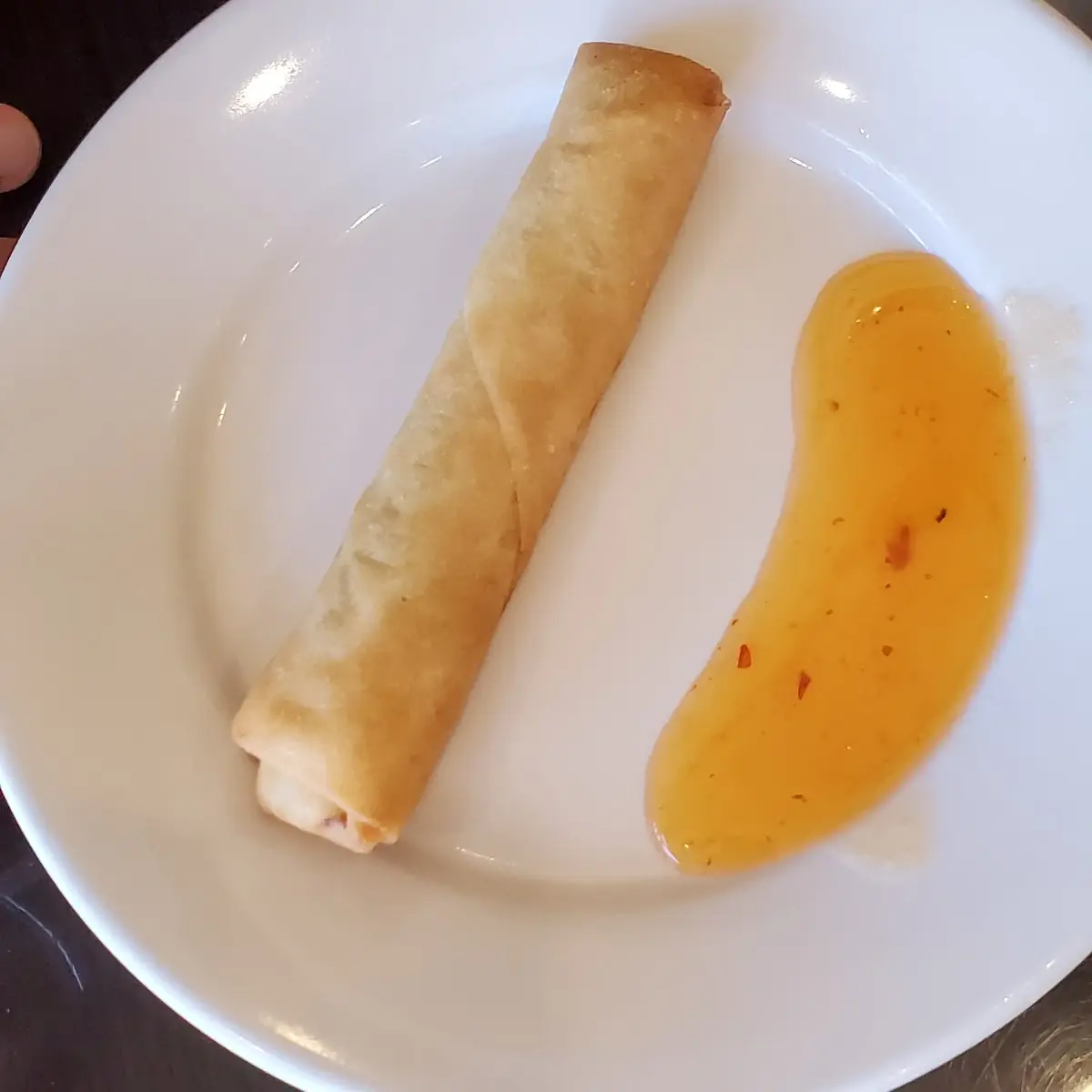 Veg Spring Roll