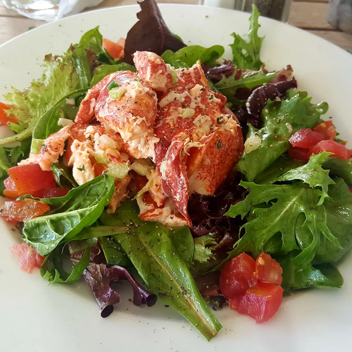 Lobster Salad