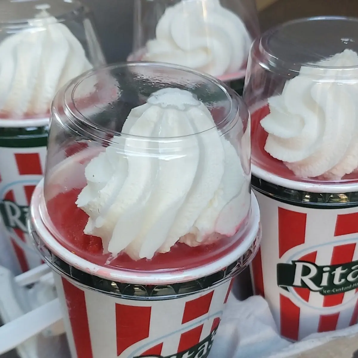 Reet Beer Float