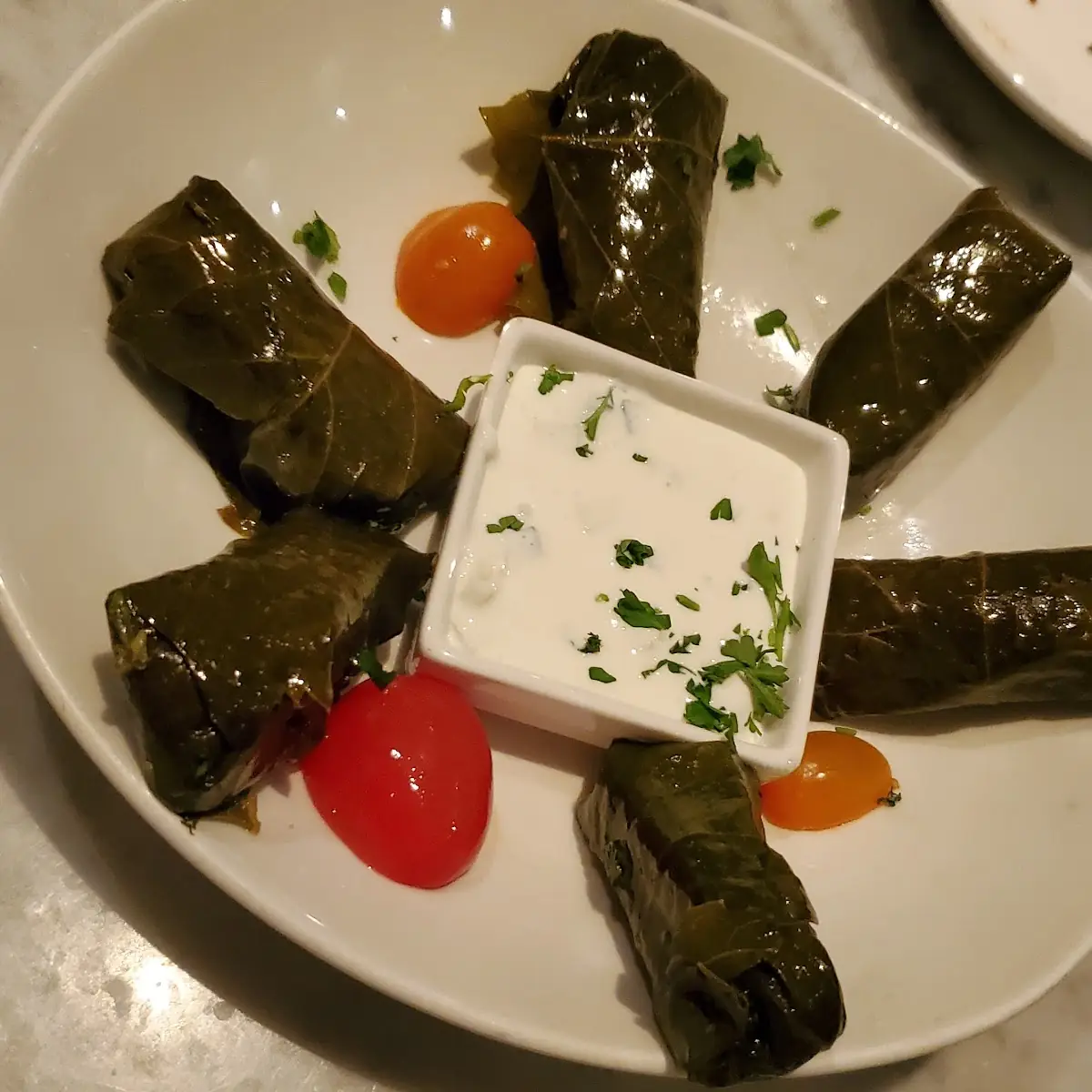 Grape Leaves Rice Mint