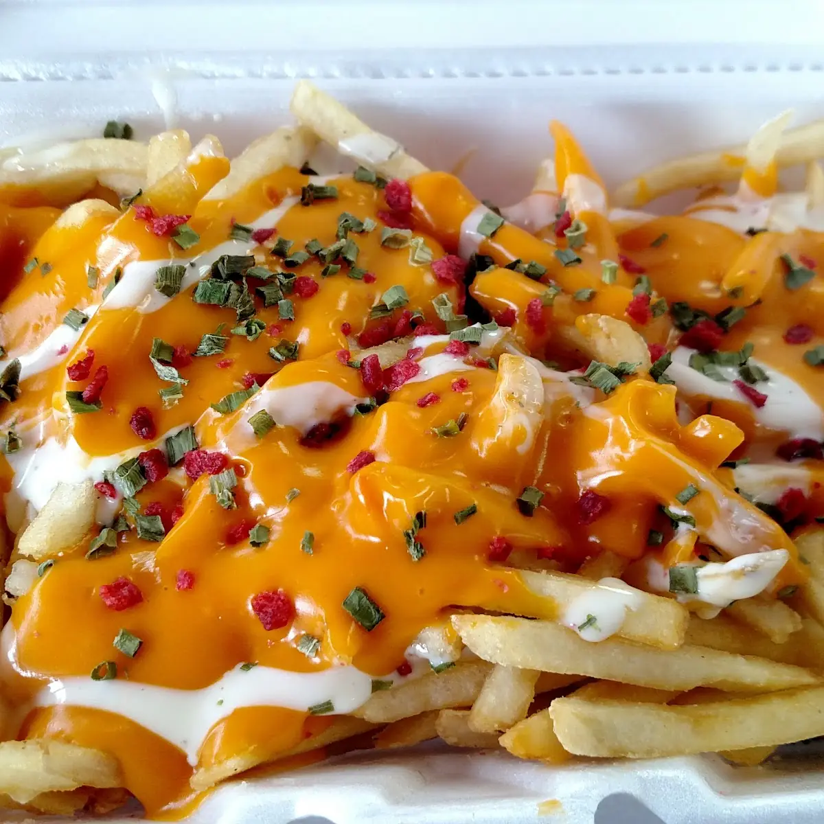 Loaded Fries