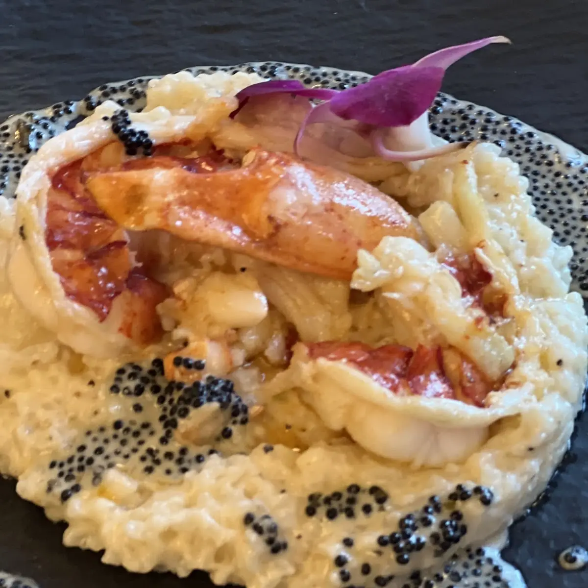 Roasted Maine Lobster Risotto