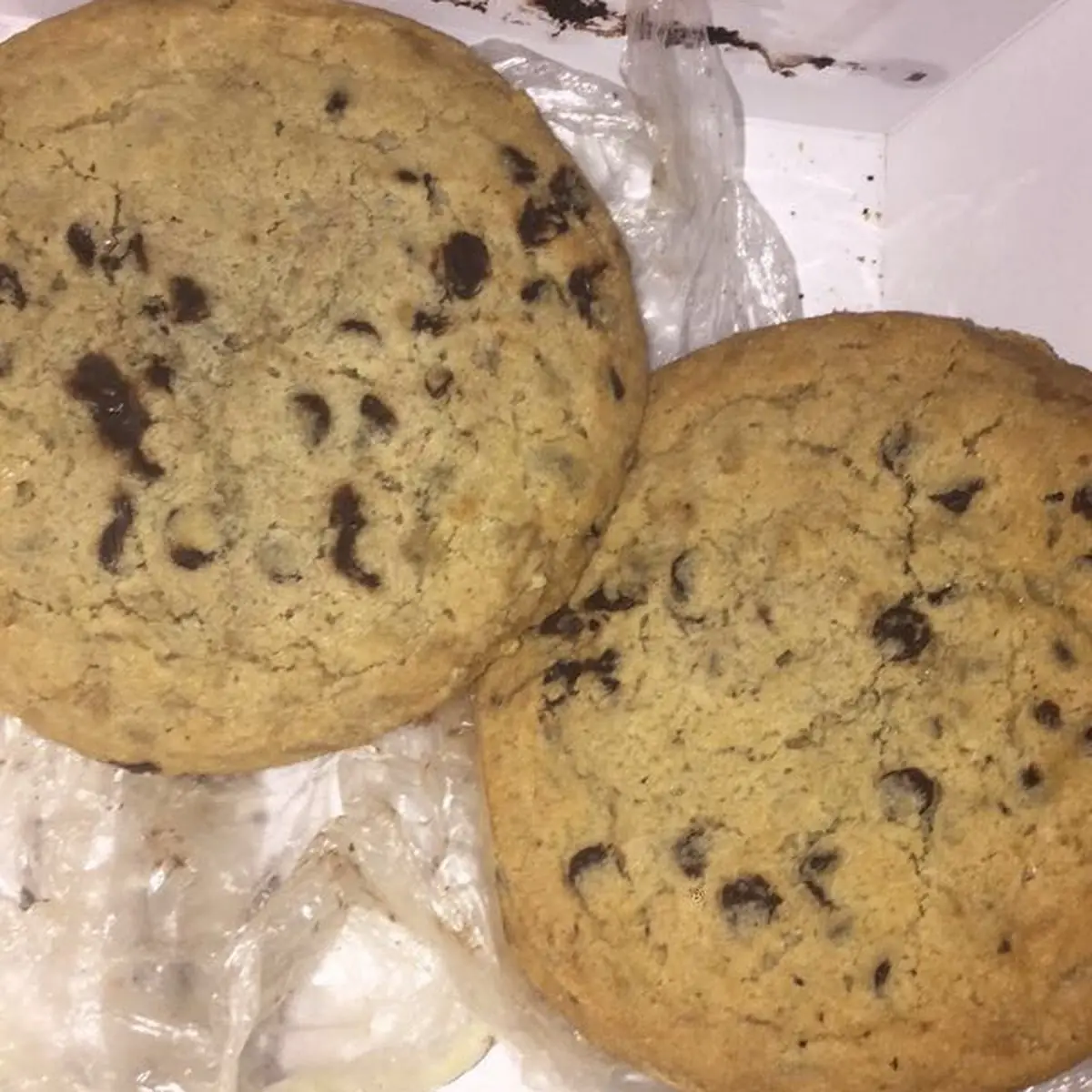 Chocolate Chip