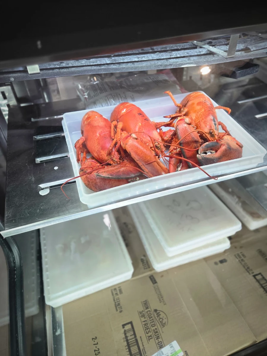 Cooked Lobster