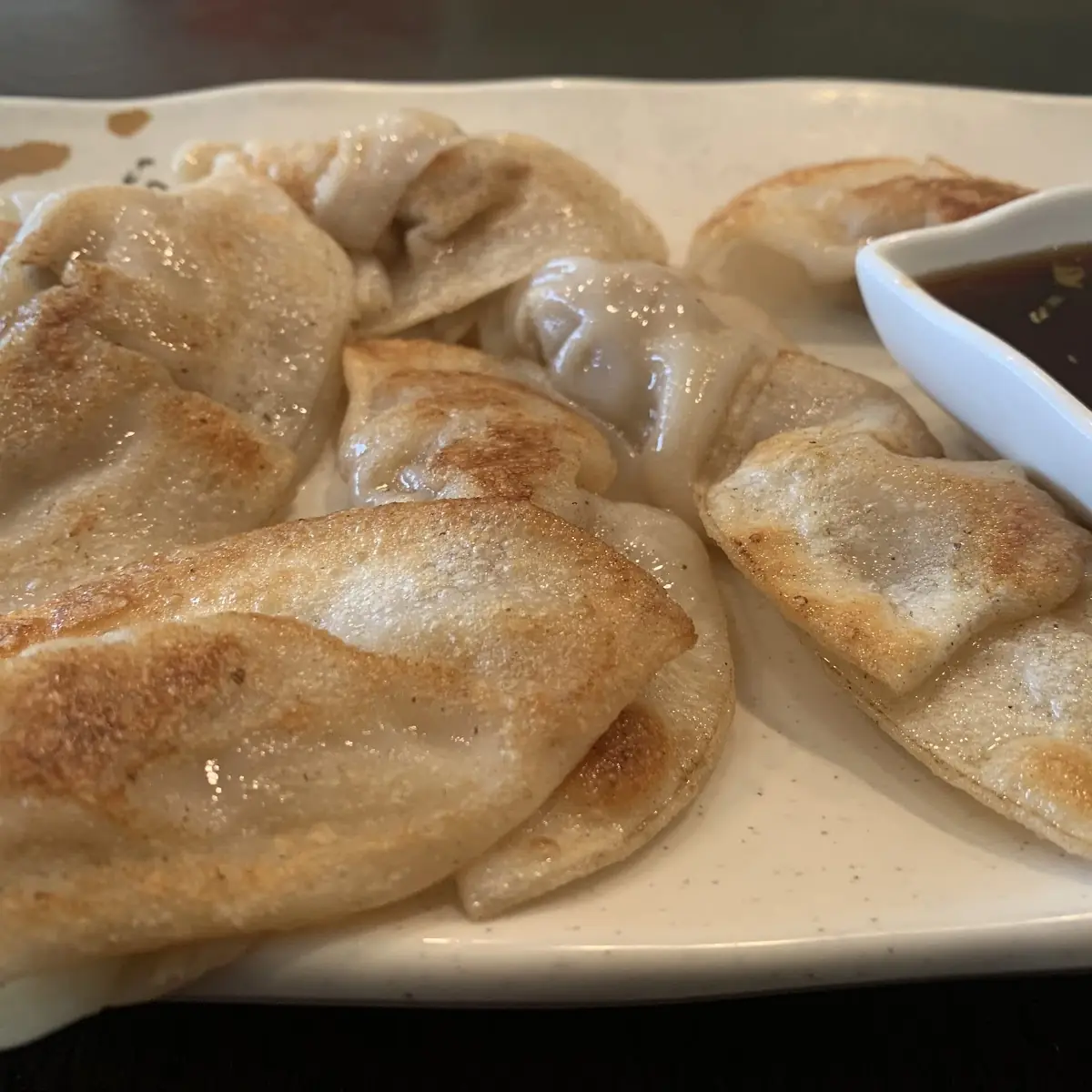 Pan Fried Chicken Dumplings