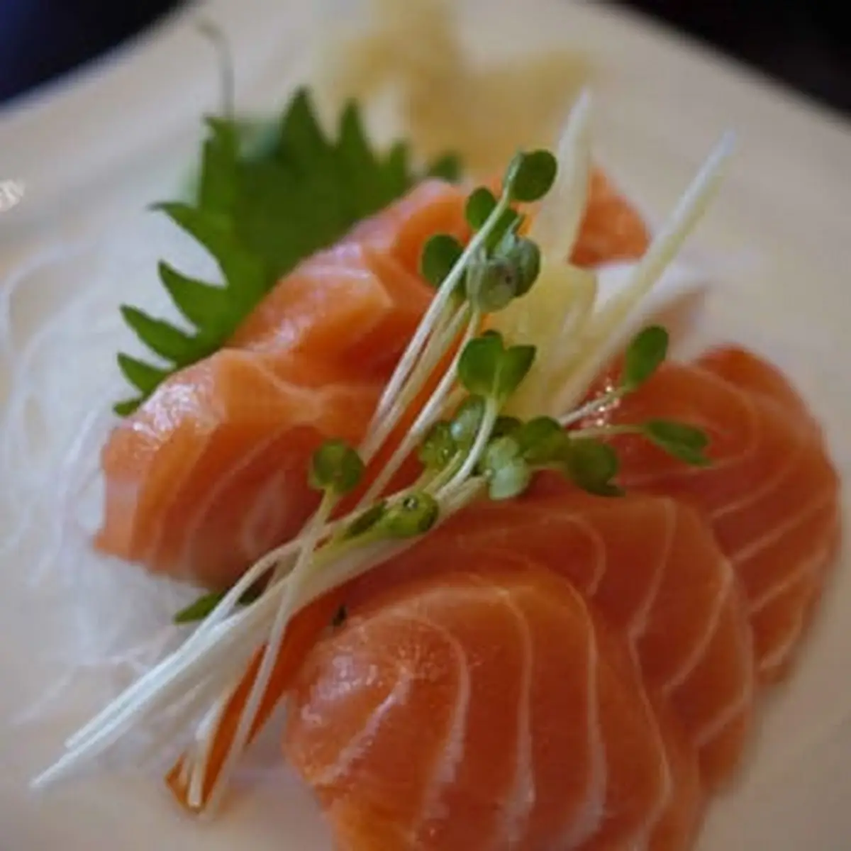 Salmon Sashimi