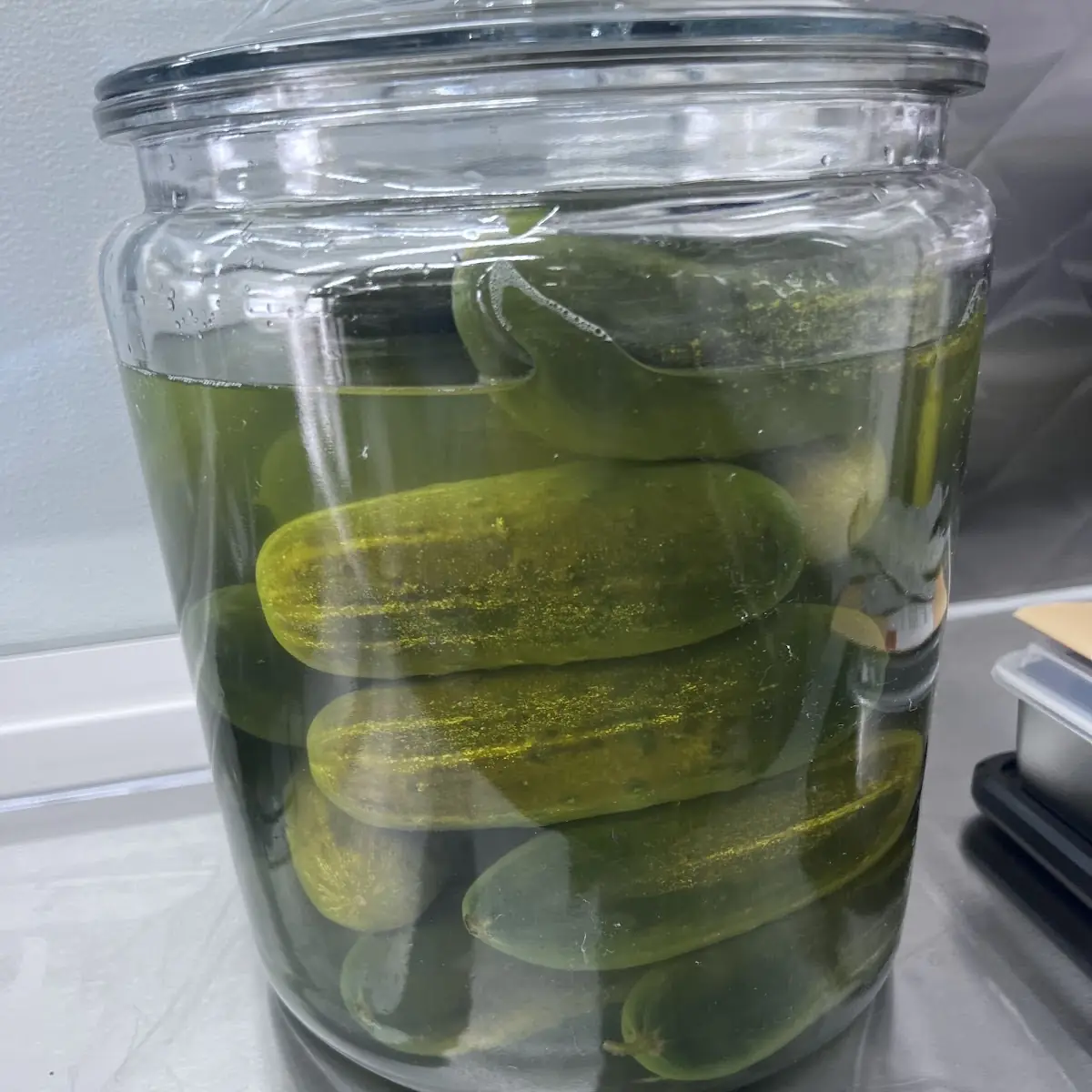 Whole Dill Pickle