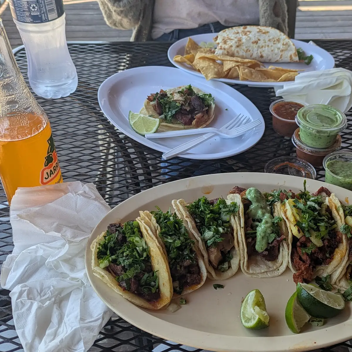 Asada Taco Plate