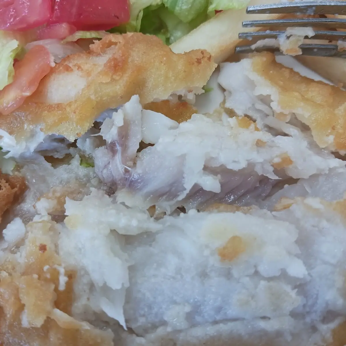Tilapia Fillet