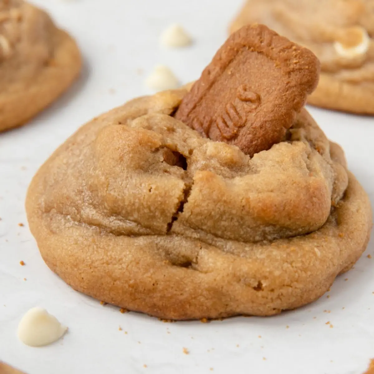 Peanut Butter Cookie