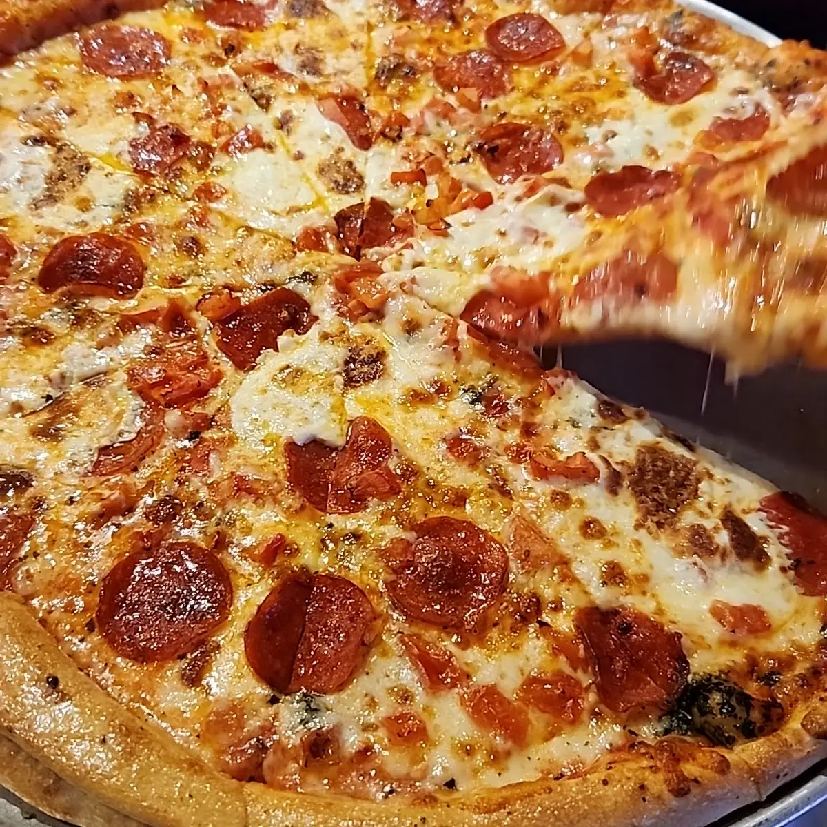 mg Pizza