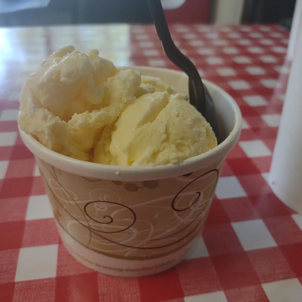 Hand-Dipped Vanilla Ice Cream