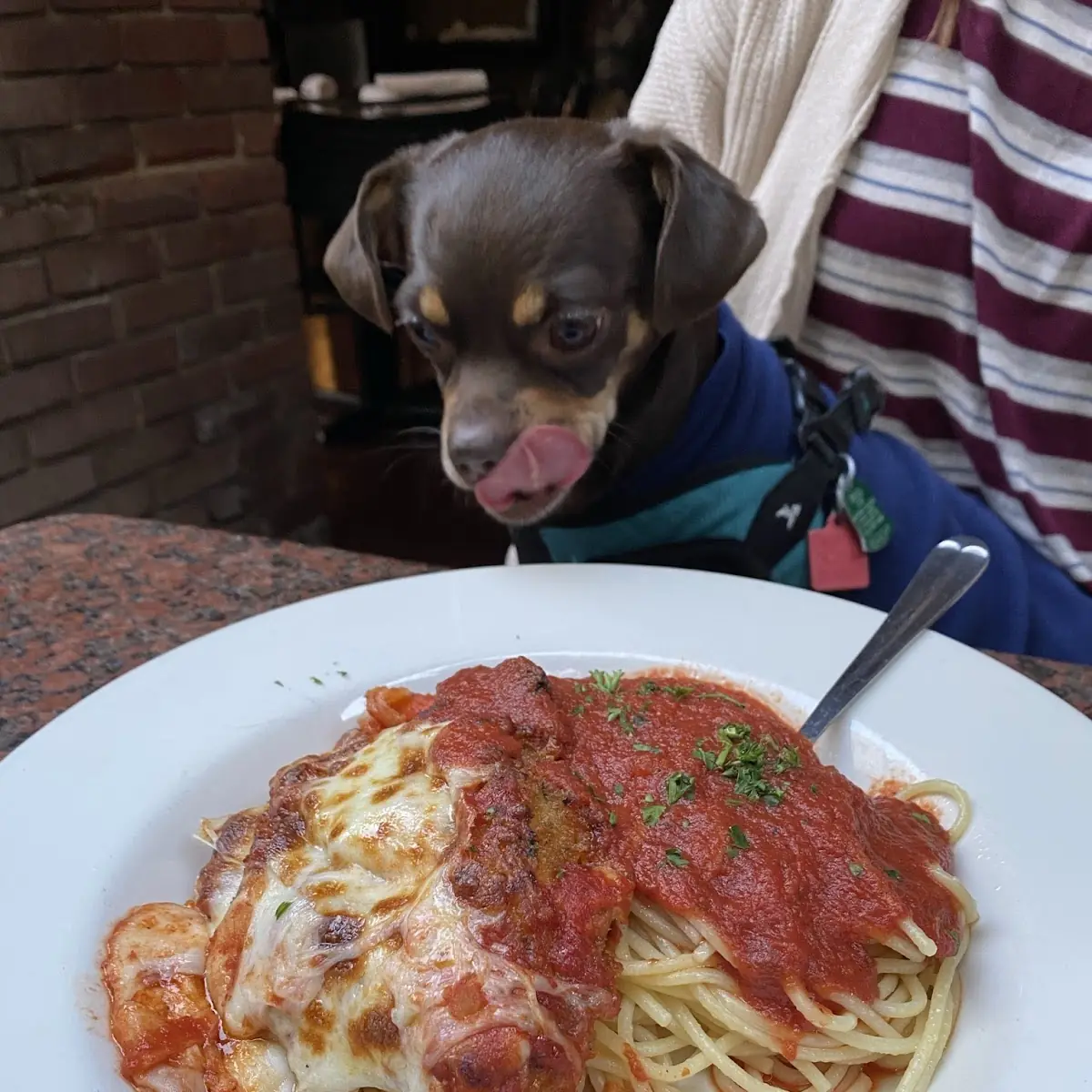 Chicken Parmesan