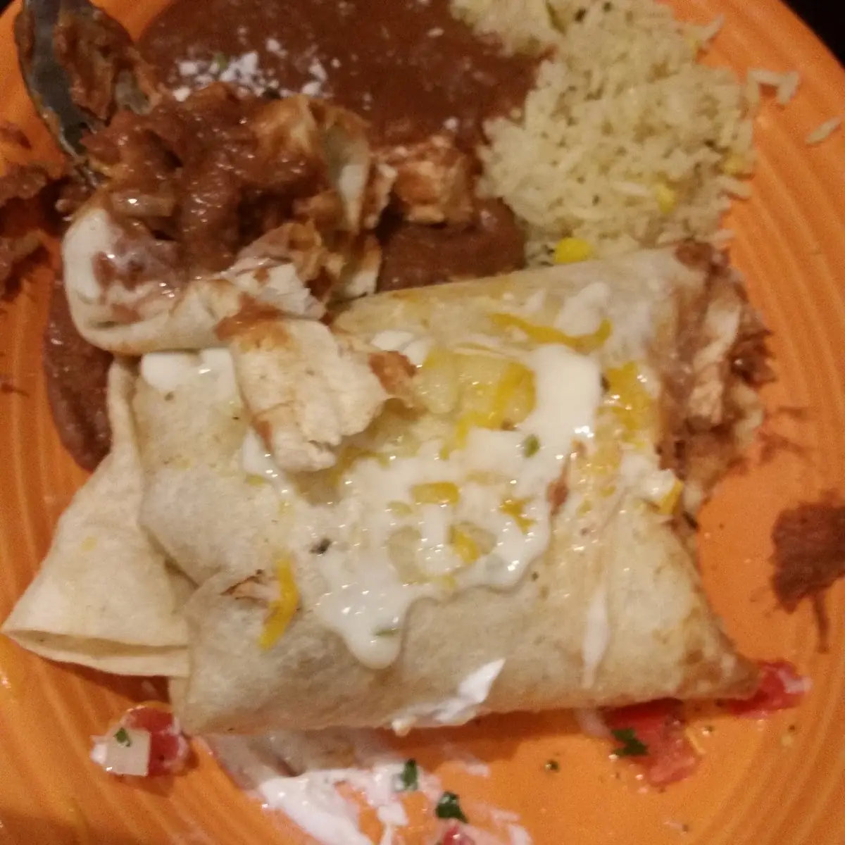 Stuffed Chicken Burrito