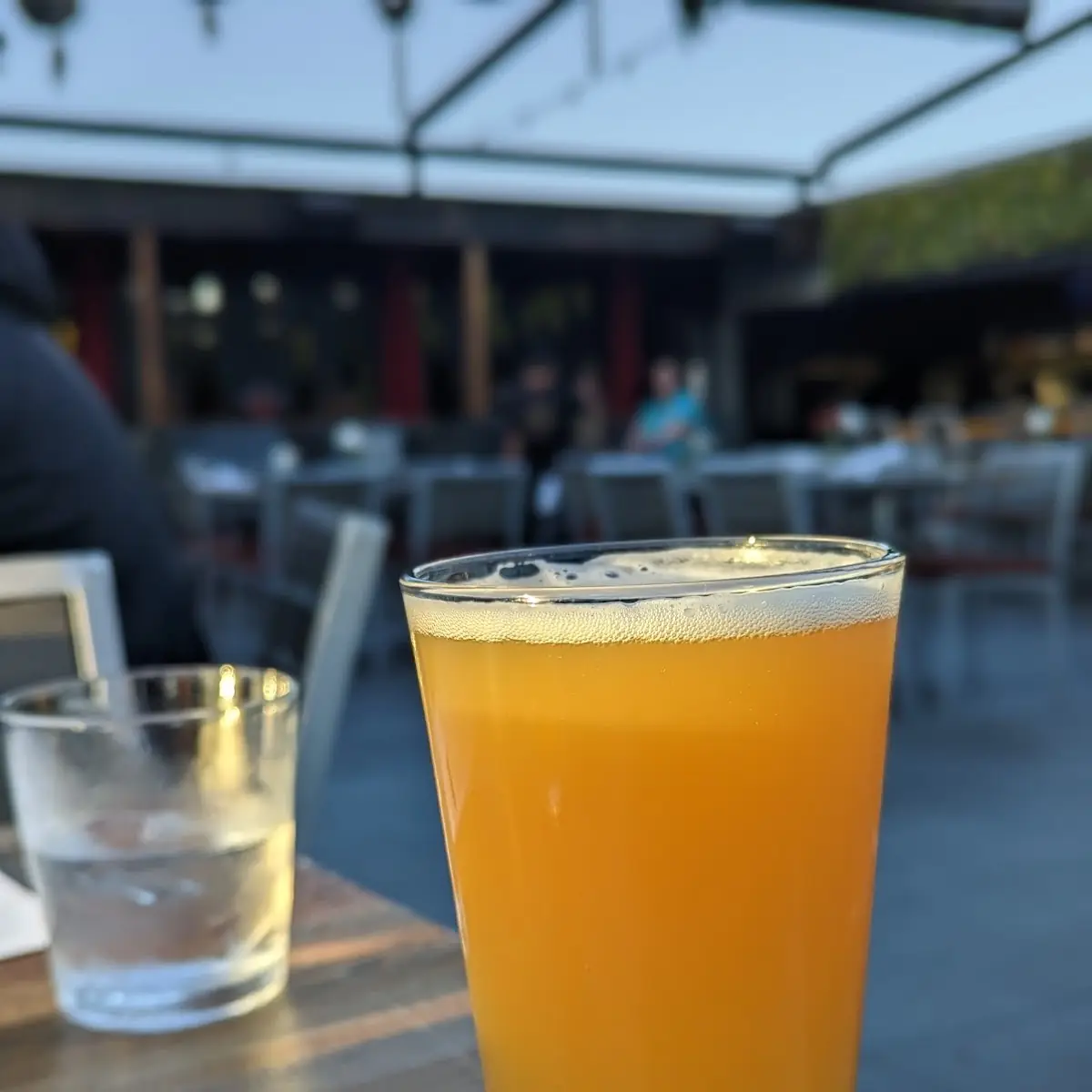 Bottomless Mimosa