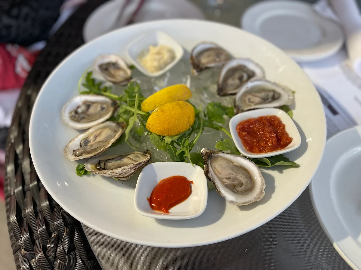 Oysters on the Half Shell