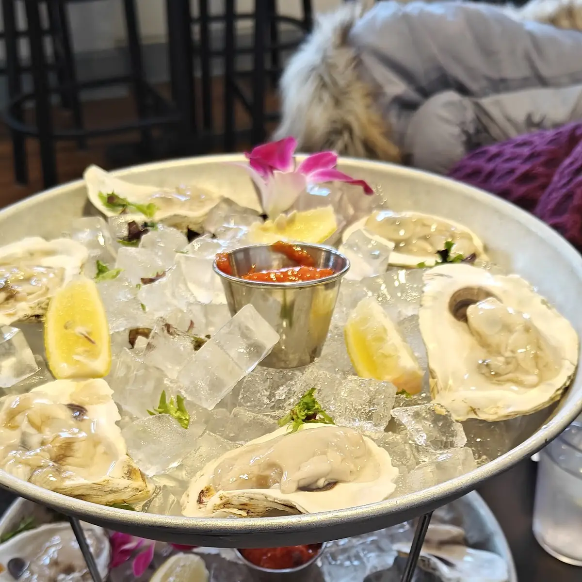 Oysters on the Half Shell