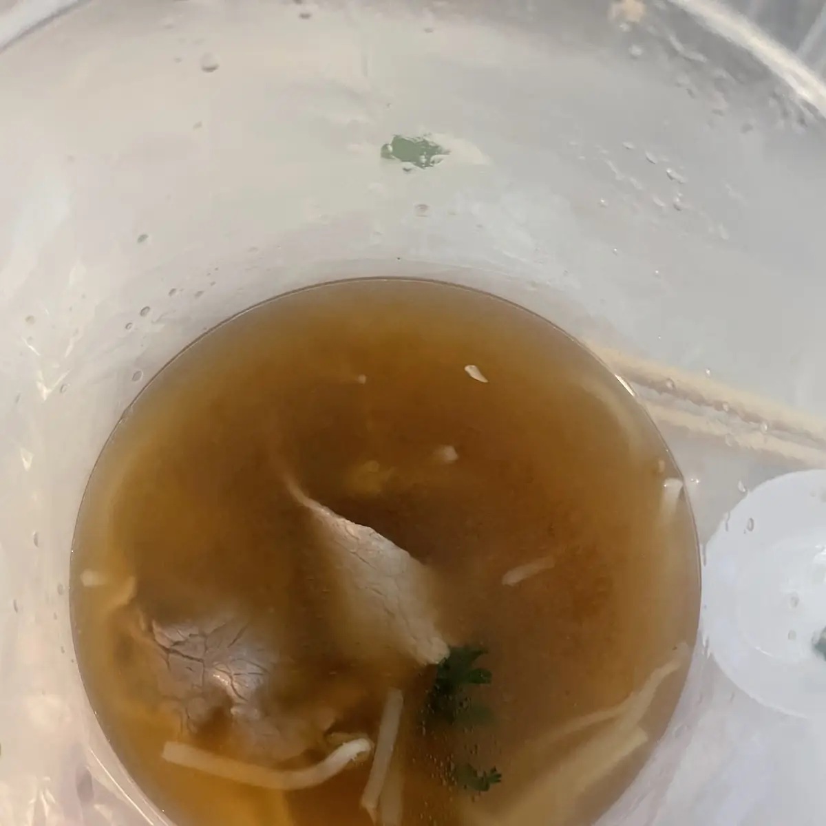 Beef Pho