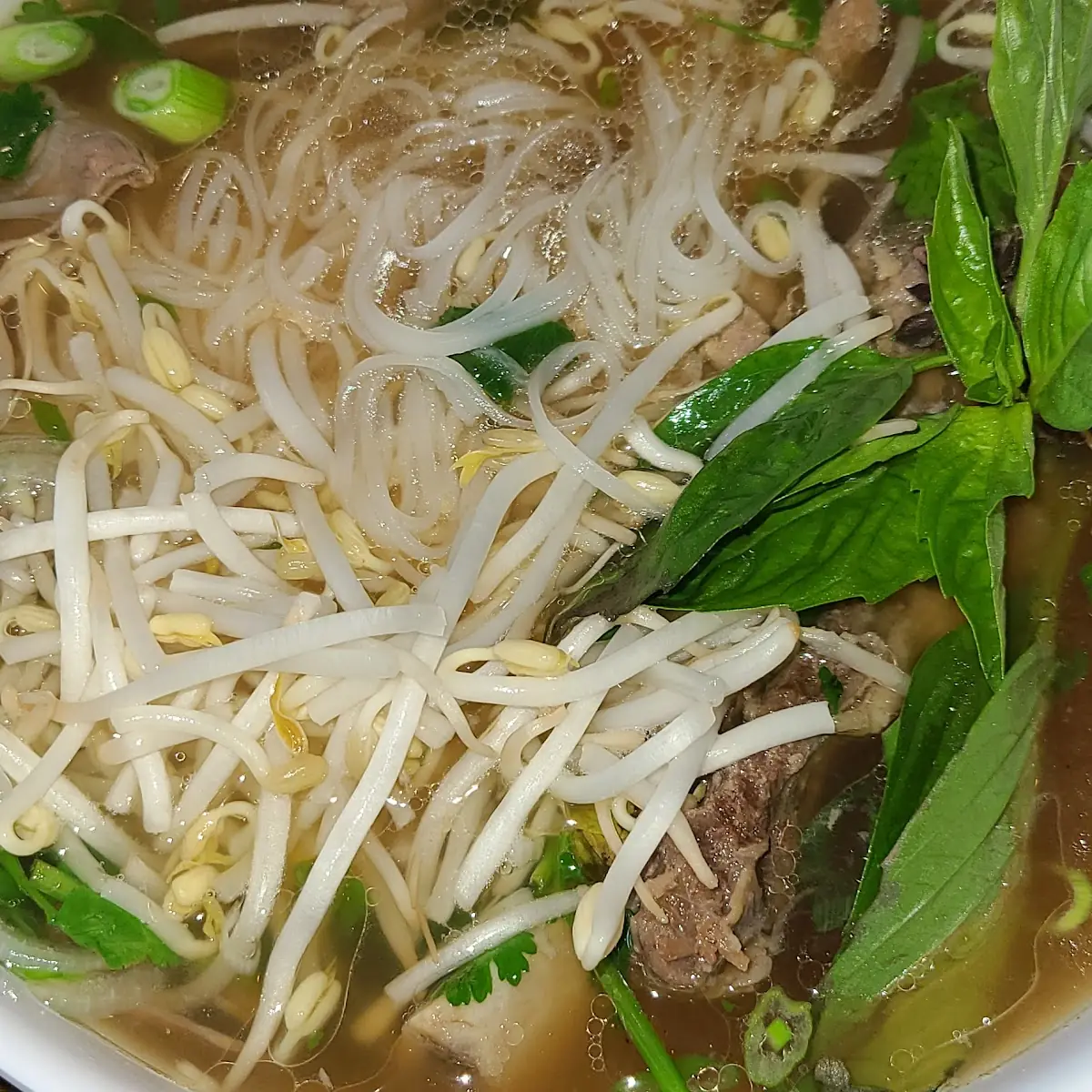 Beef Rib & Brisket Phô with Vegetables on Top