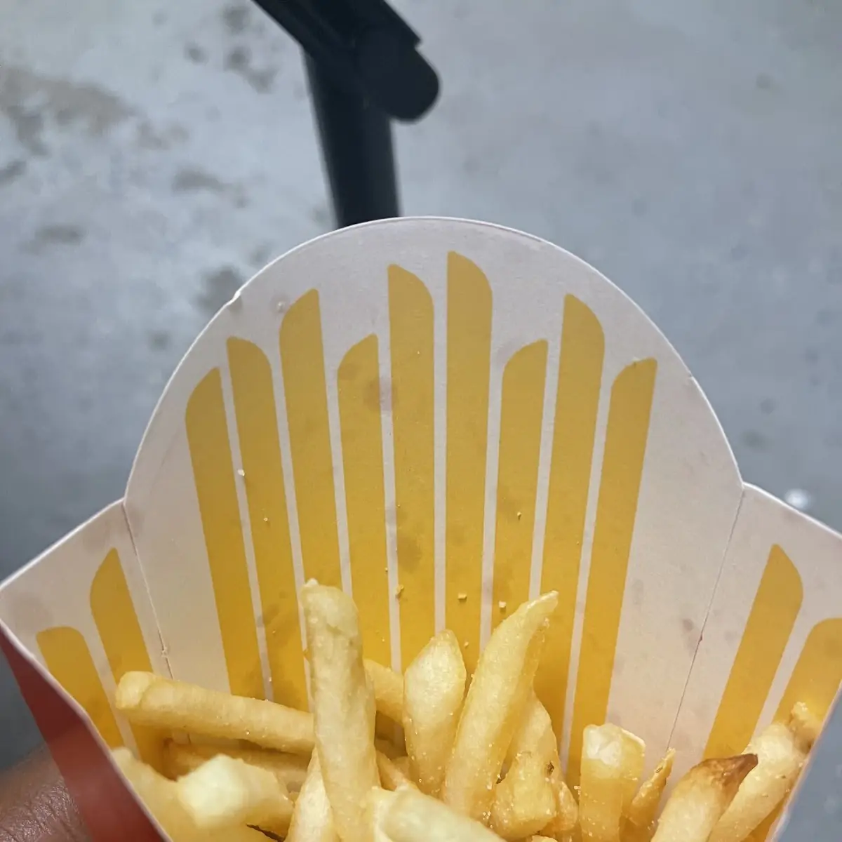 World Famous Fries