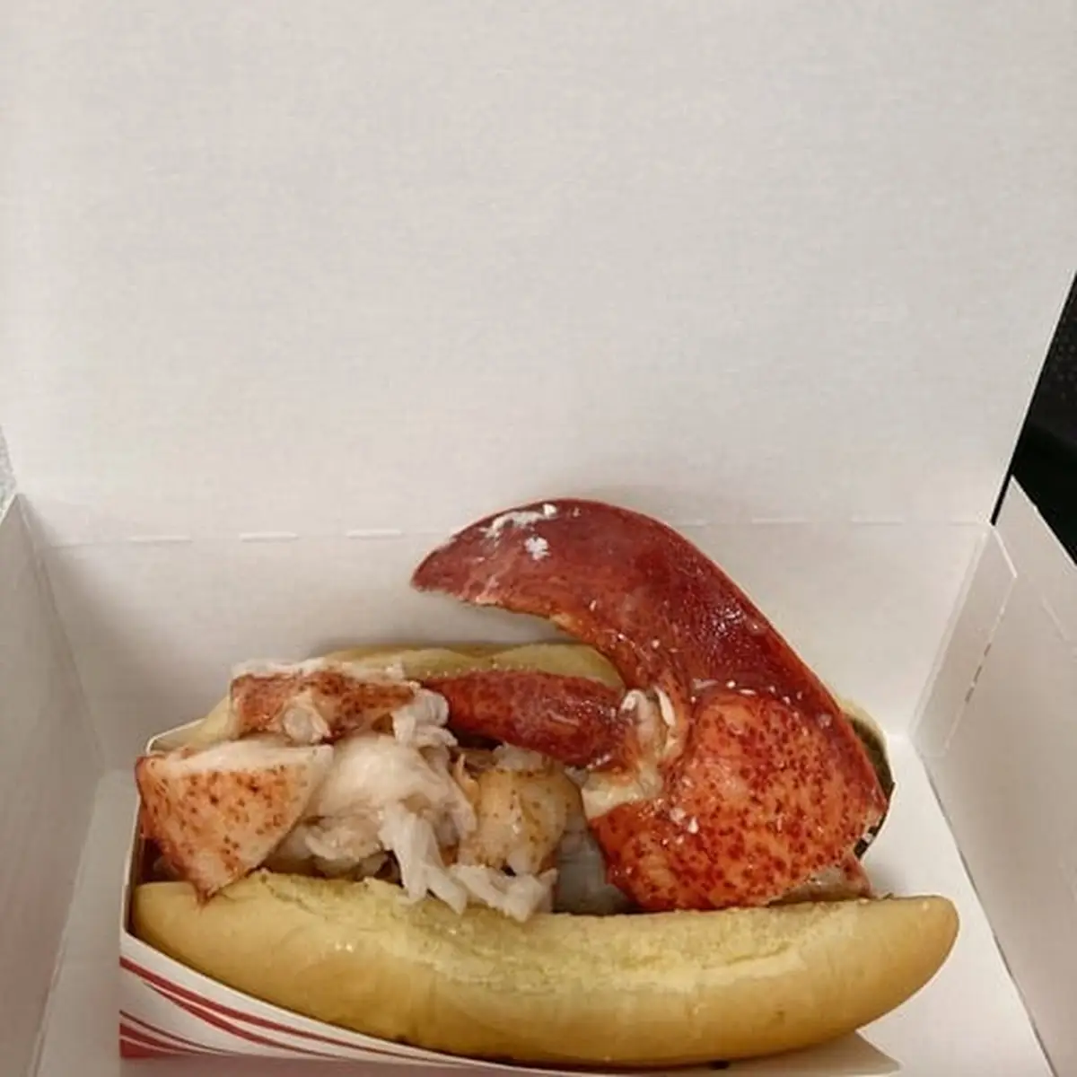 Maine Lobster Rolls