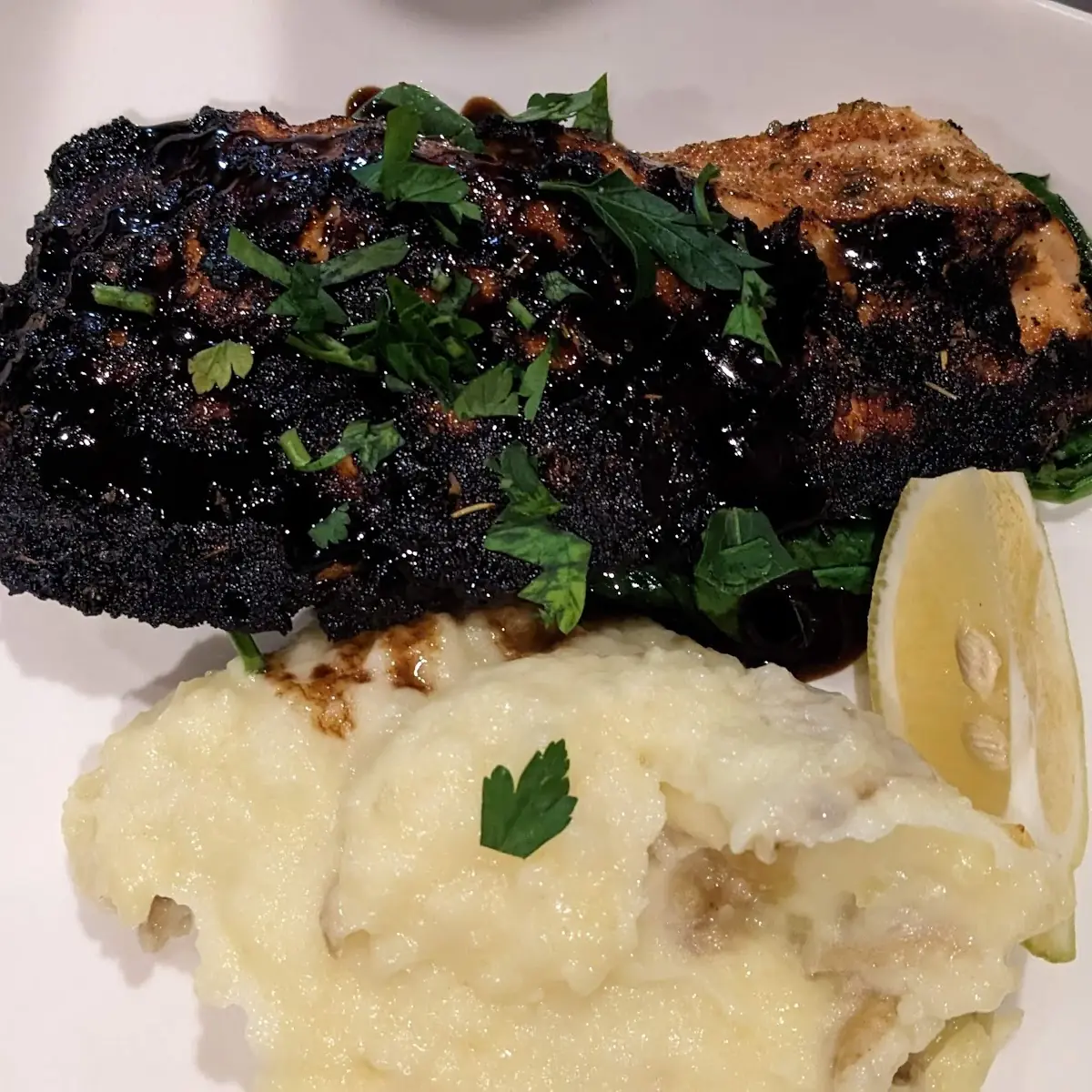 Grilled Salmon