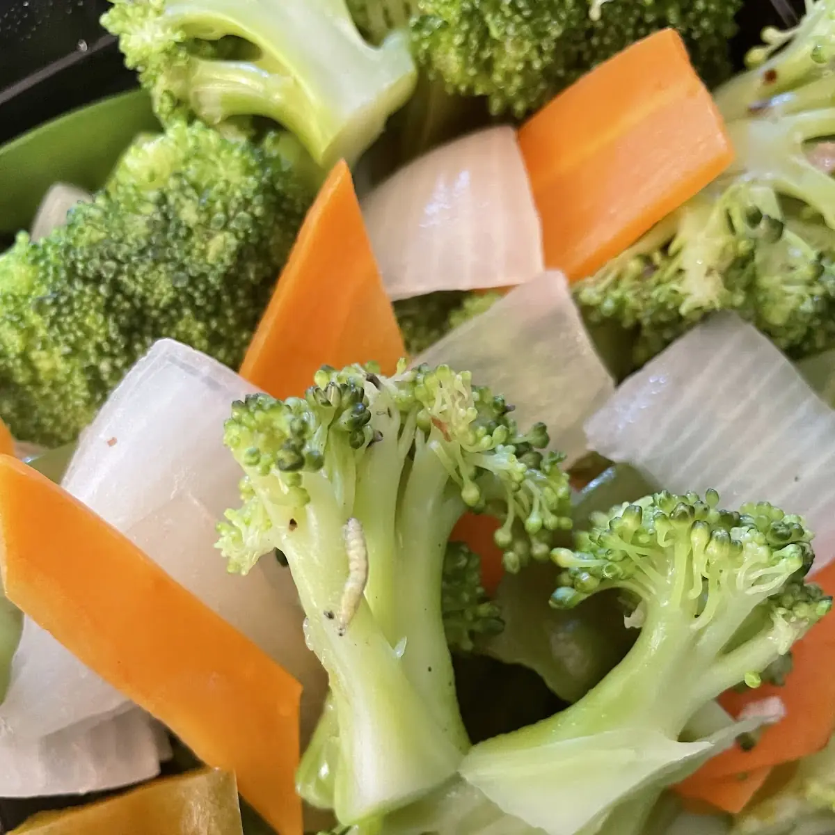 Beef with Chinese Vegetables