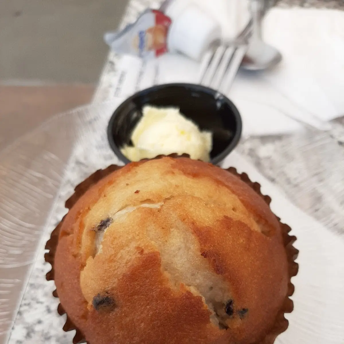 Blueberry Muffin