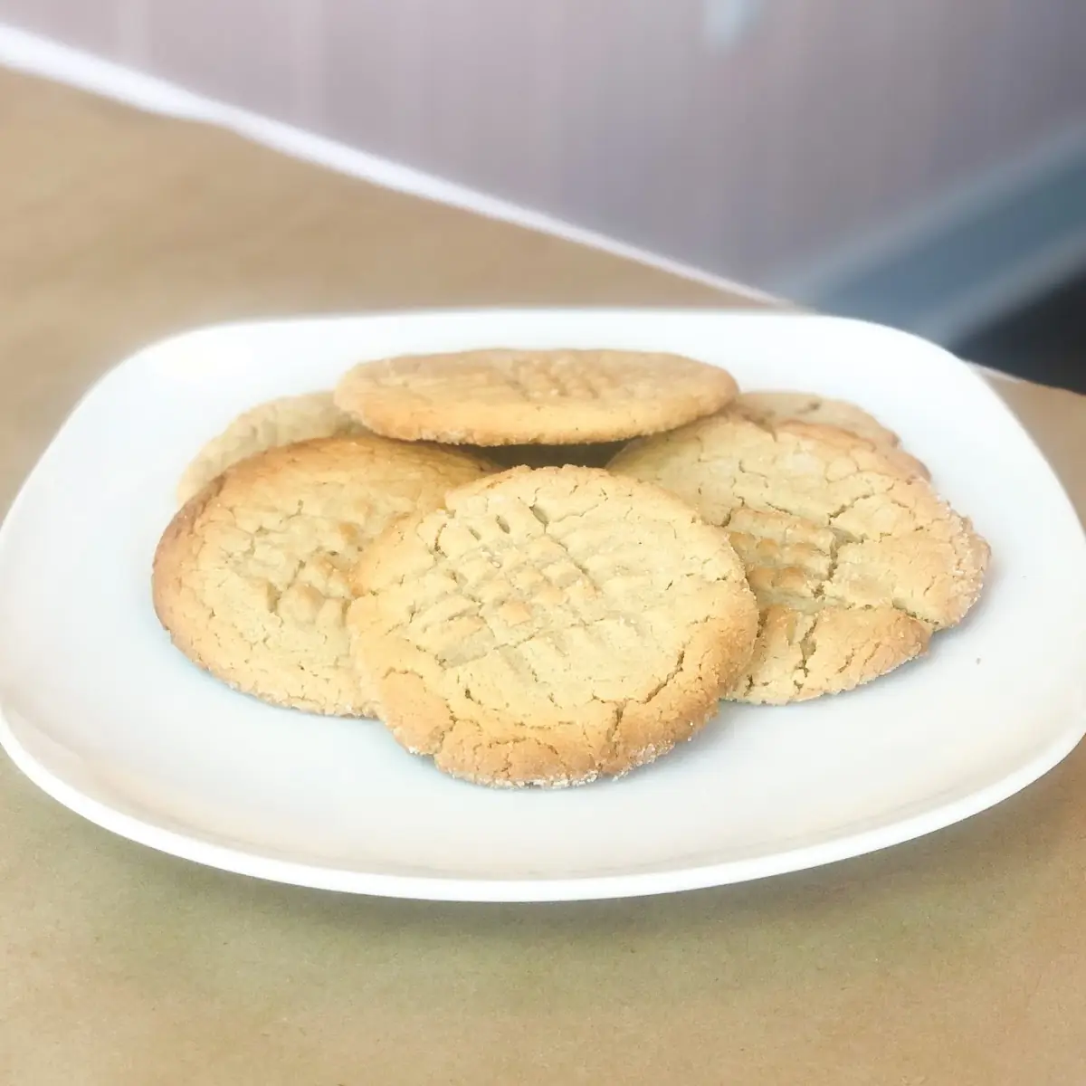 Peanut Butter Cookie