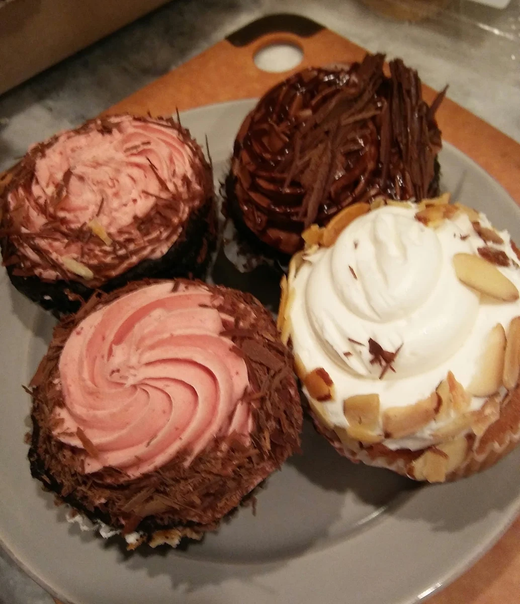 Double Chocolate Cupcake