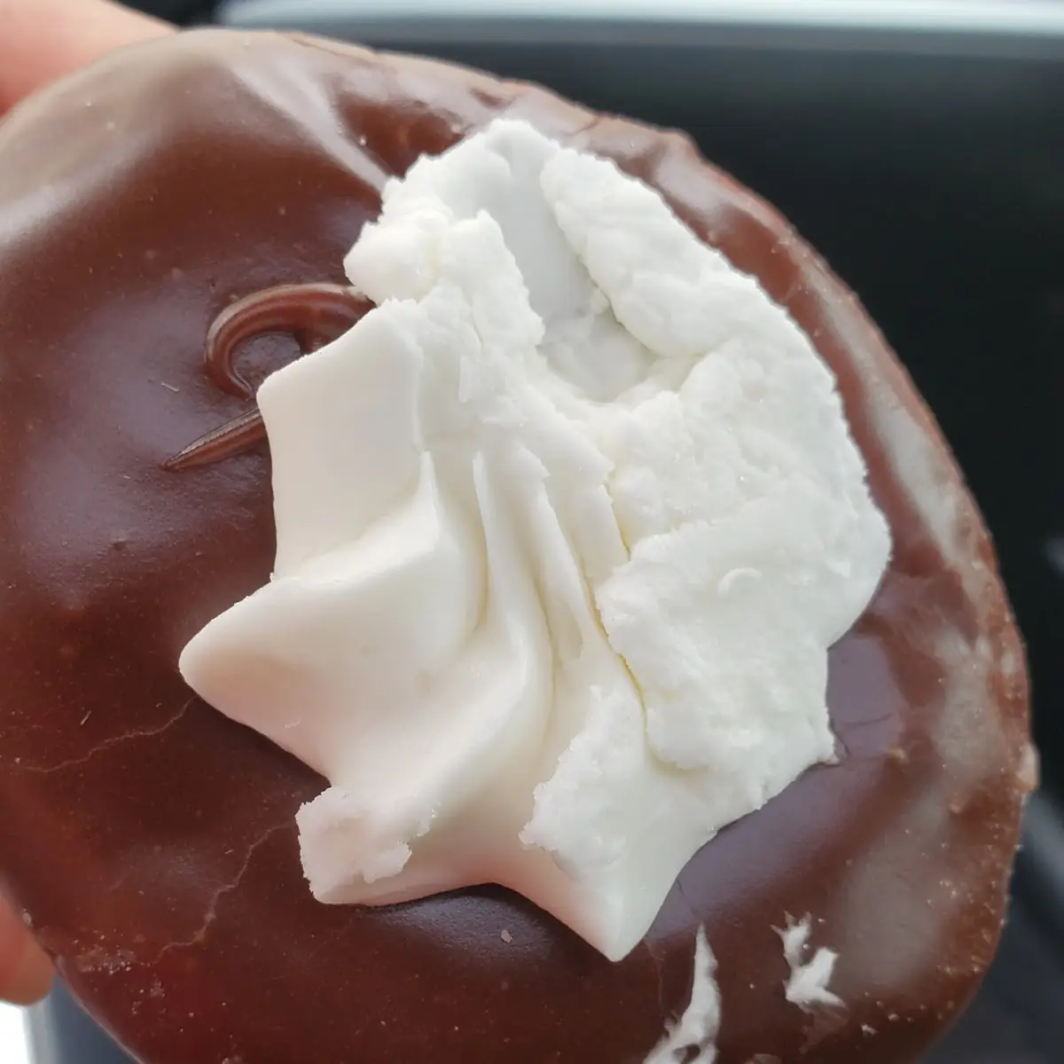 Boston Cream Donut