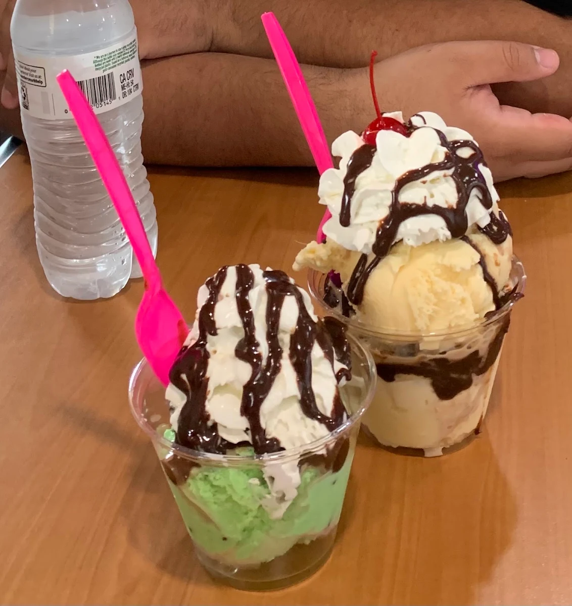 Mint Chocolate Chip & Vanilla