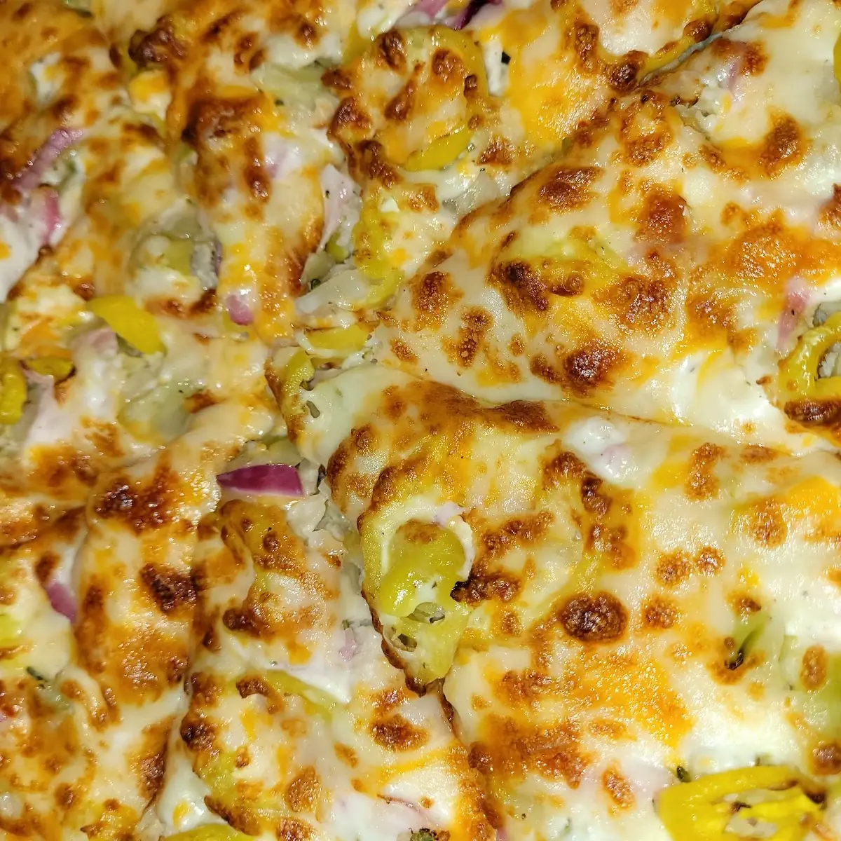 Vegetable Pizza