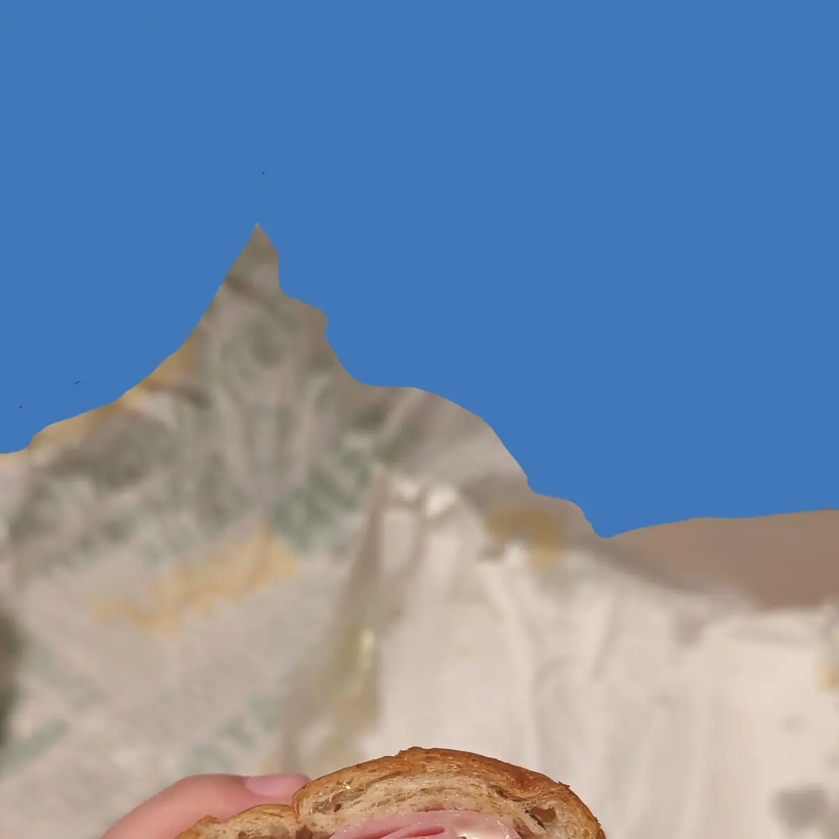 Ham Sandwich