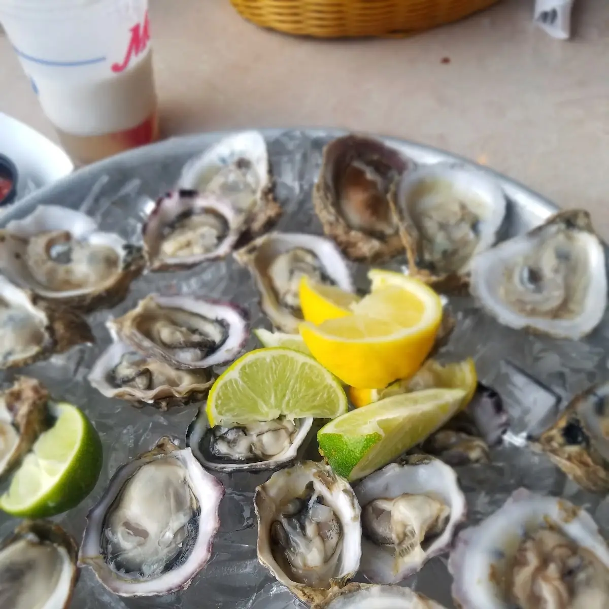 Gulf Oysters on the Half Shell